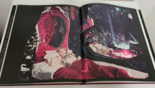 Salvador Dali's Dream of Venus: The Surrealist Funhouse From the 1939 World's Fair - Image 3